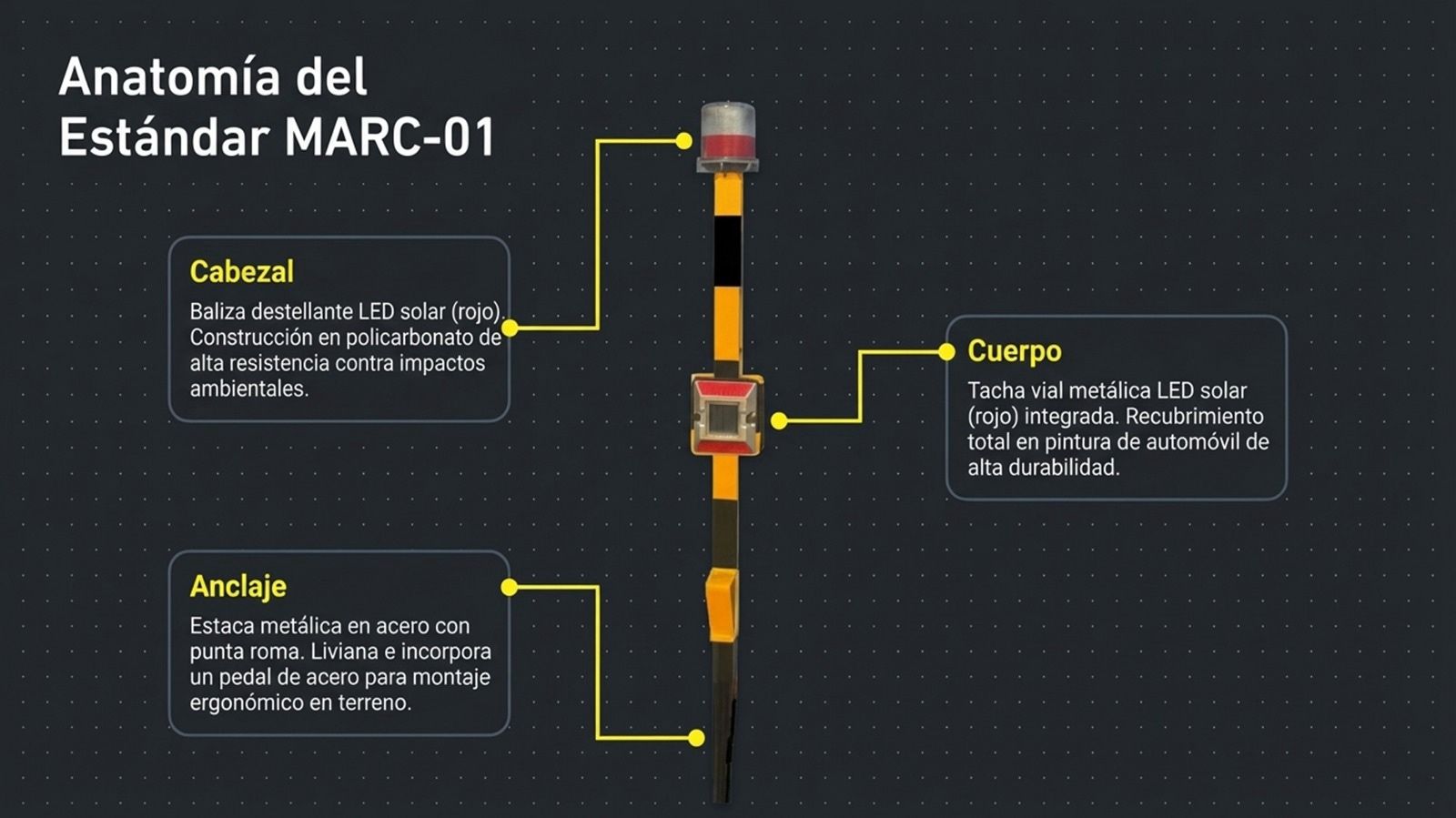 Anatomía del Estándar MARC-01